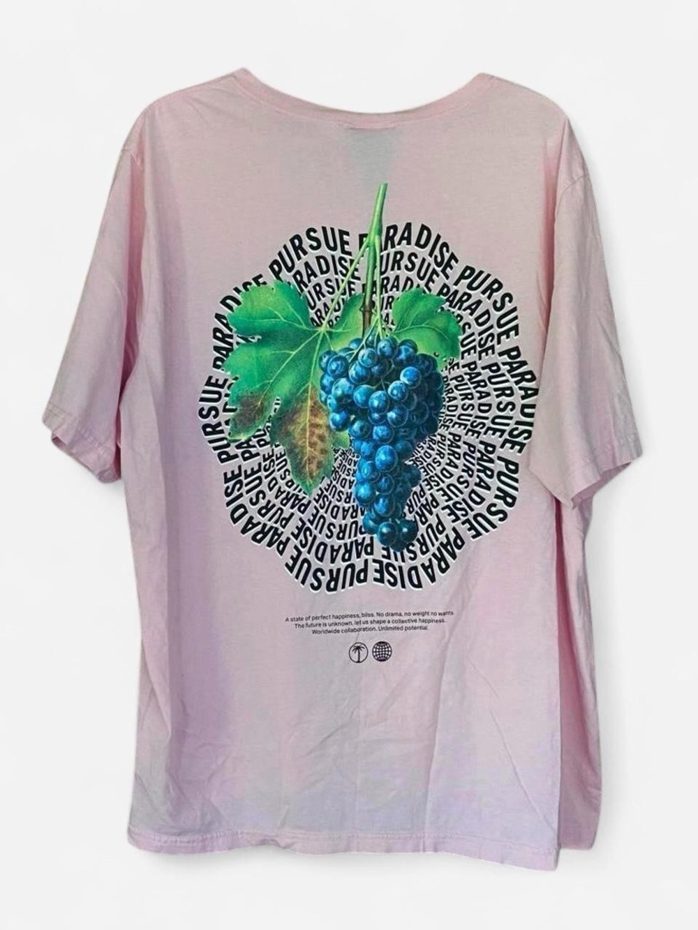 H&M Pink Grapes Streetwear Skater T-shirt Size 3XL — Only Worn Once!